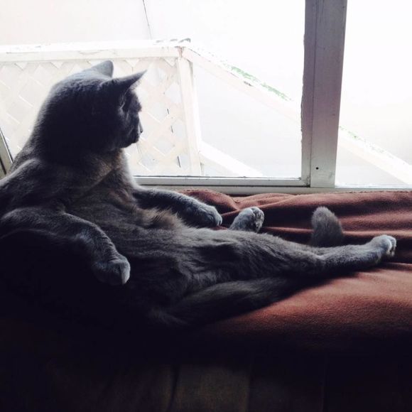 Meet your Posher, Jessica - Picture 3 of 3